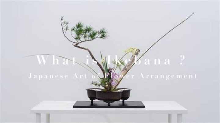 Hisachi Ochi: The Art Of Japanese Ikebana