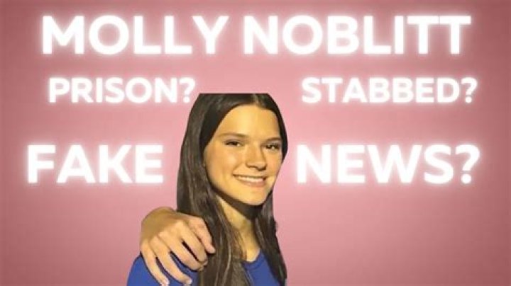 The Ultimate Guide To Understanding Mollly Noblit