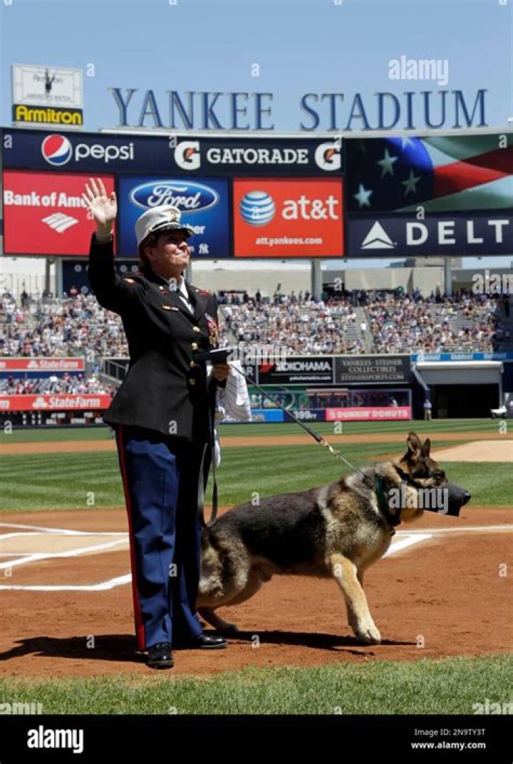 Unveiling The Age Of Megan Leavey: A Detailed Exploration
